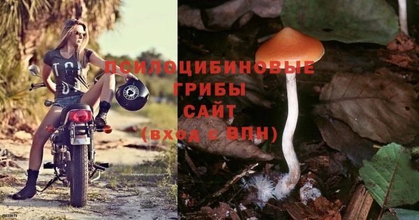 прущие крисы Балабаново