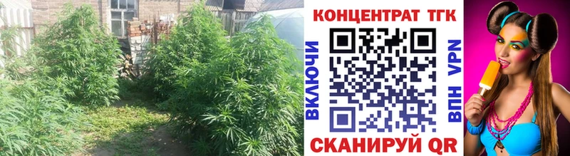 магазин    kraken   Дистиллят ТГК вейп с тгк  Озёры 