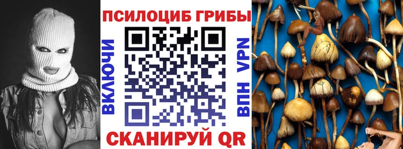 хочу   Озёры  MEGA ТОР  Галлюциногенные грибы MAGIC MUSHROOMS 