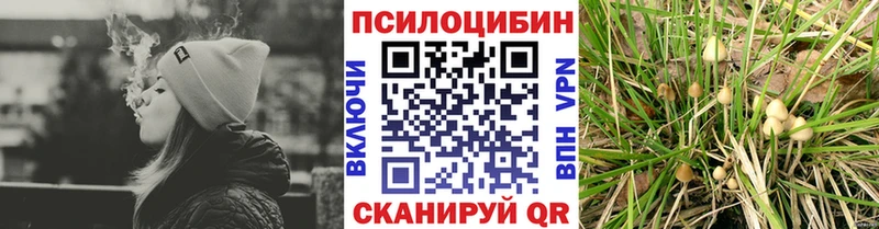 Псилоцибиновые грибы мухоморы Озёры